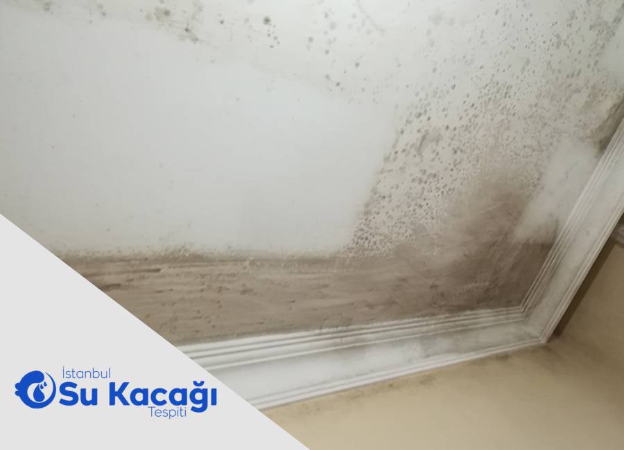 Küçük Su Kaçakları Büyük Masraflara Nasıl Yol Açar?