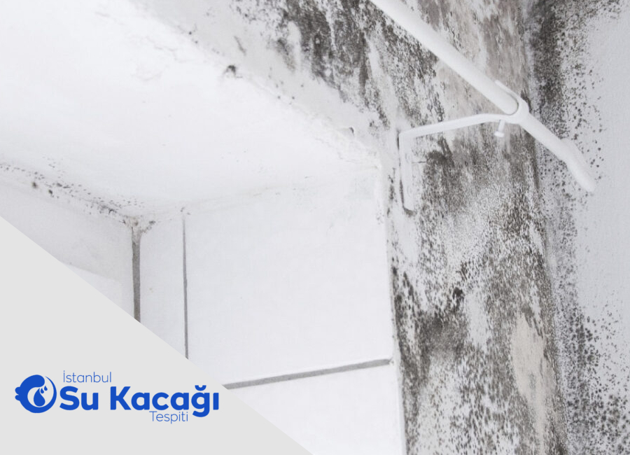 Su Kaçağı Duvarlarda Küf ve Kokuya Neden Olur mu?