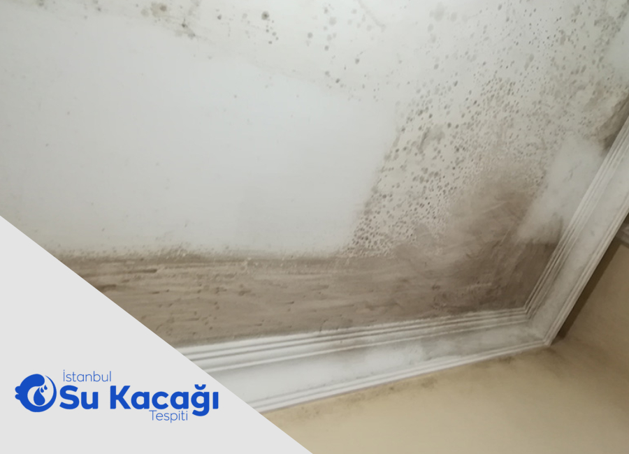 Tavana Sızan Su Nasıl Bulunur ve Nasıl Tamir Edilir?