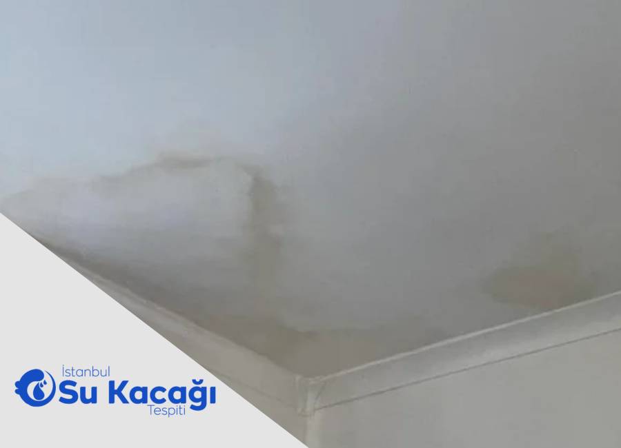 Alt Katta Görülen Su Lekesi Benim Dairemden mi Kaynaklanıyor?