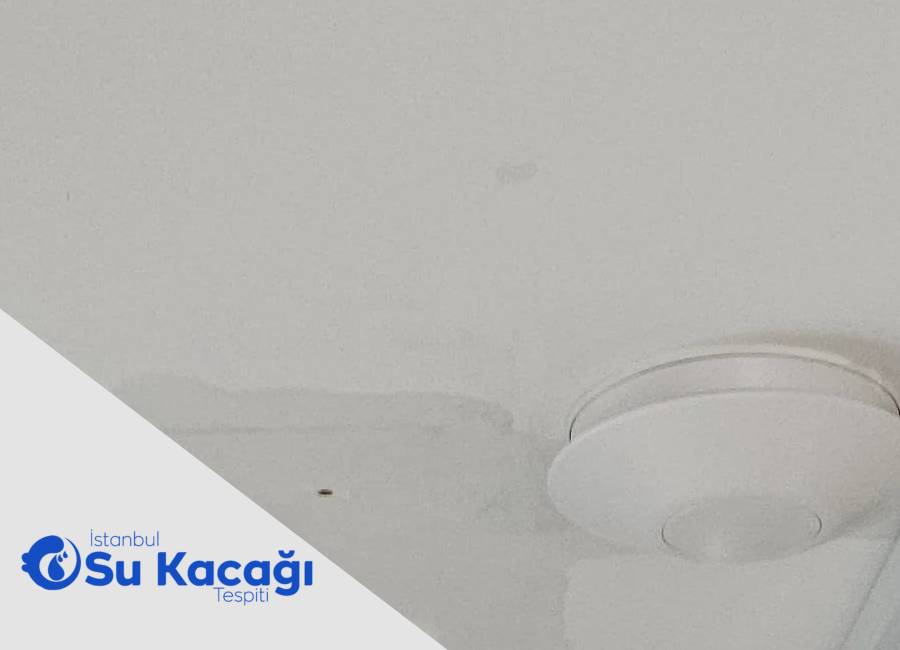 Tavan Leke ve Damlama Üst Komşu mu, Şaft mı?