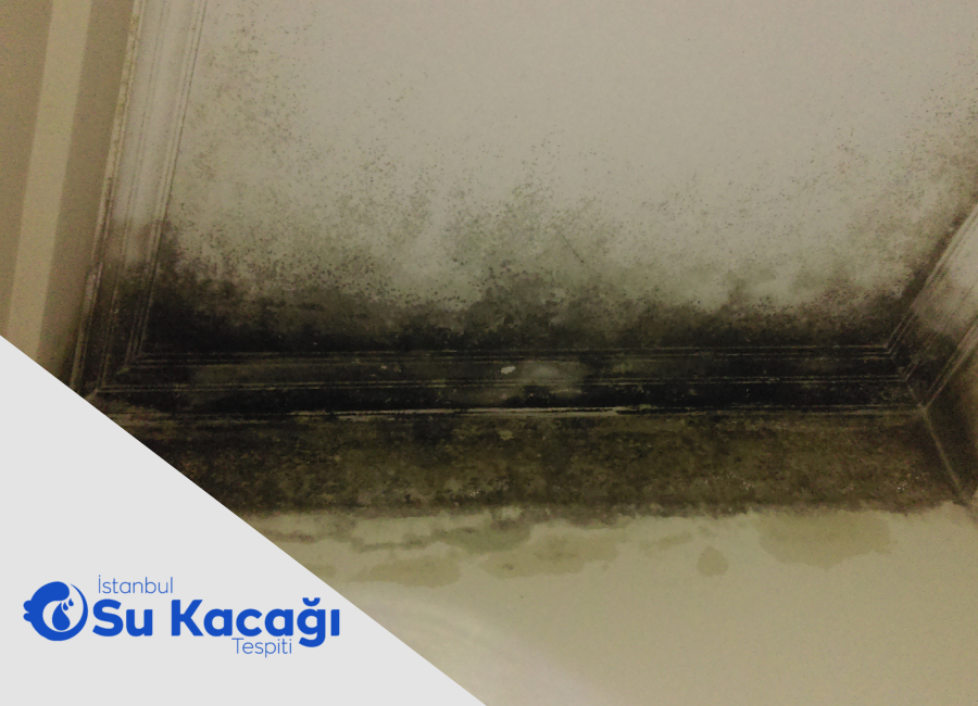 Zeminde Oluşan Mini Kabarmaların Gerçek Nedeni Ne?